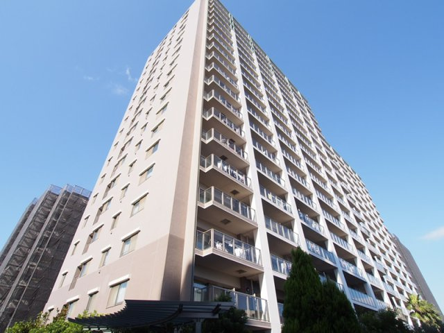 の-の画像