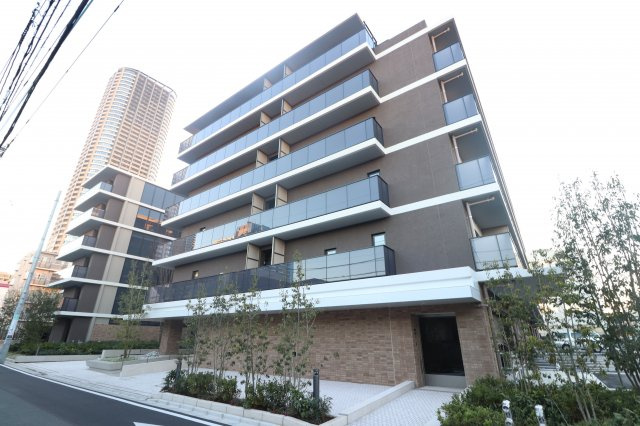 ラテイエラムサシコスギ