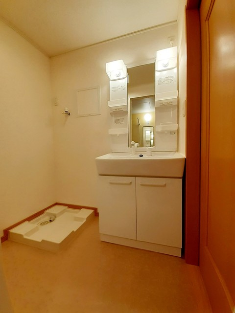 パレス・シュティルBの洗面所