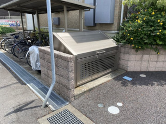 【展望】 | チェリーウェル