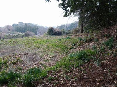 【外観】 | 福岡市西区能古 売地