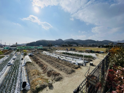 【周辺】 | 平家　地続き農地　たつの市御津町岩見　 | 地続きの農地です
