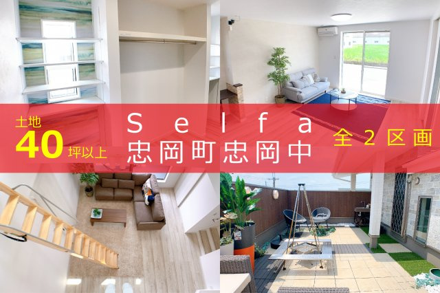 セルファ忠岡町忠岡中の画像
