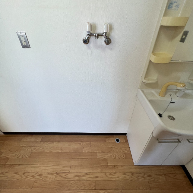 シルク２１若草のその他