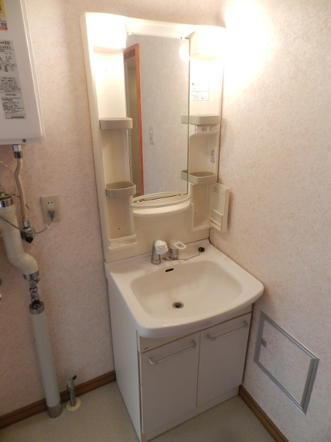 グランドハイム　ぽちたま２１の洗面所