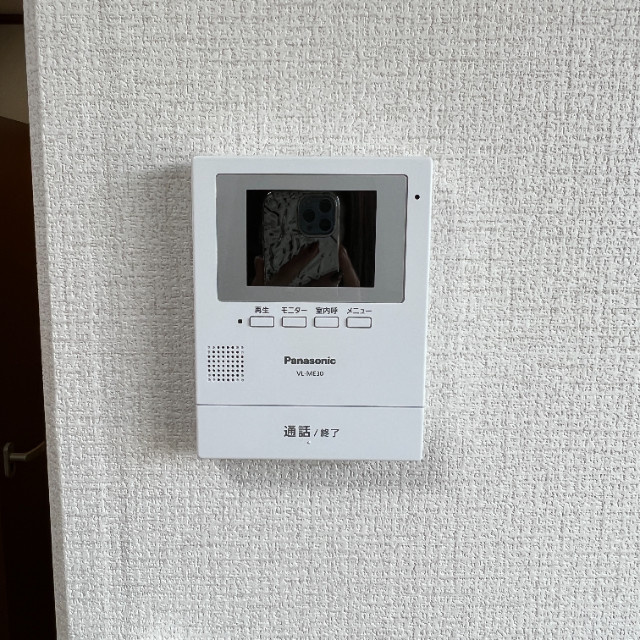 ハイム・デ・ルーアのセキュリティ