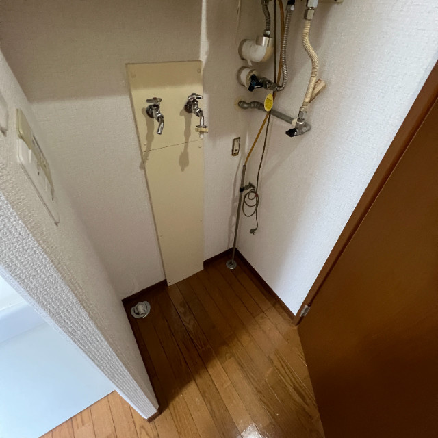 ハイム・デ・ルーアのその他