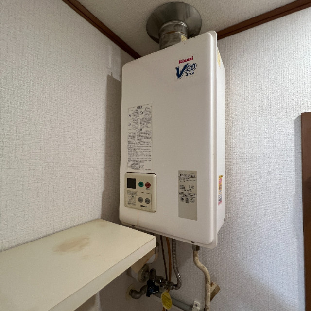 ハイム・デ・ルーアのその他