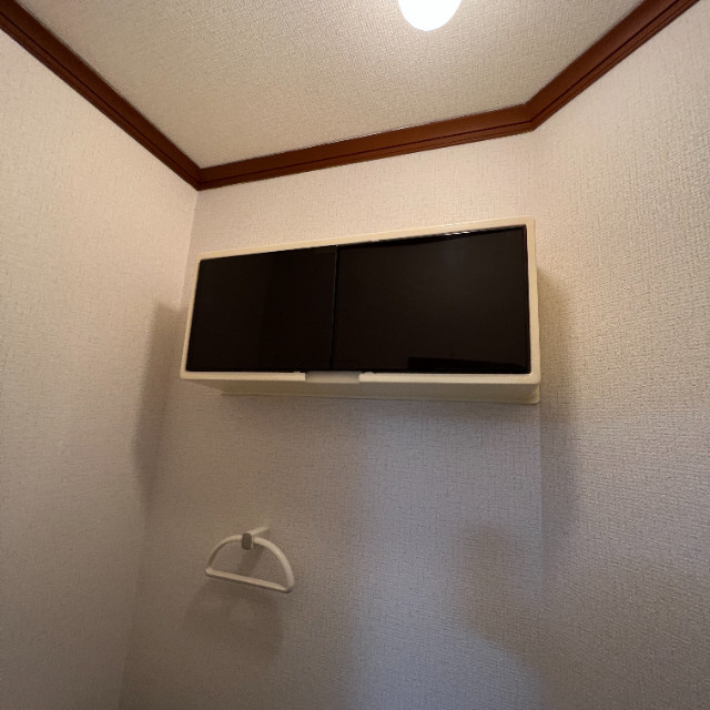 ハイム・デ・ルーアのその他