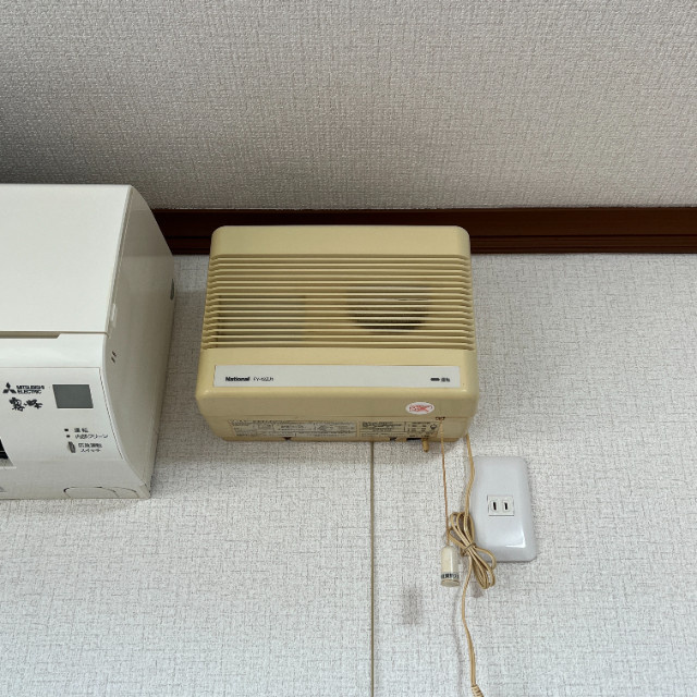 ハイム・デ・ルーアのその他