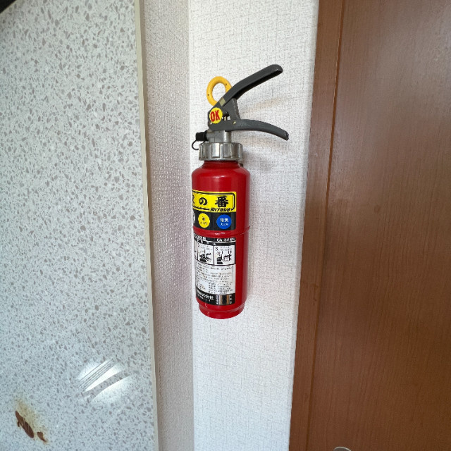 ハイム・デ・ルーアのその他