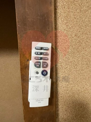  | 堺市西区浜寺諏訪森町東1丁貸家