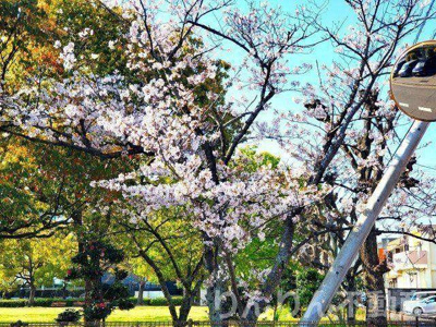 【展望】 | サンハイツ沖浜