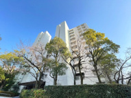 メゾン千里　D3棟の画像