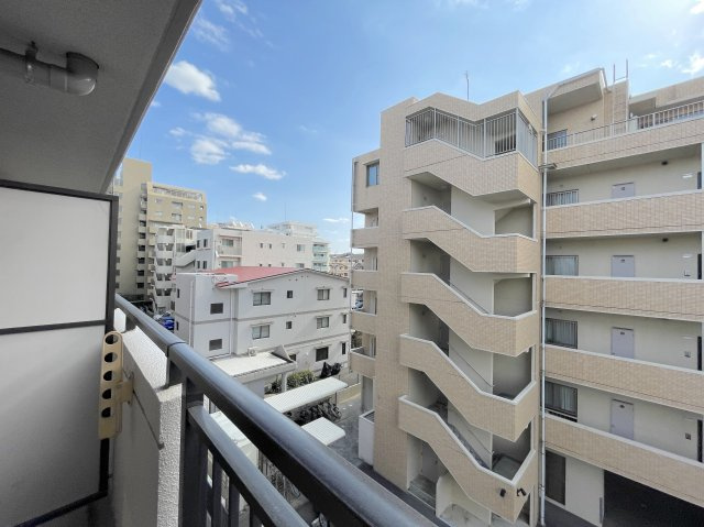 藤崎パーク・ホームズの展望