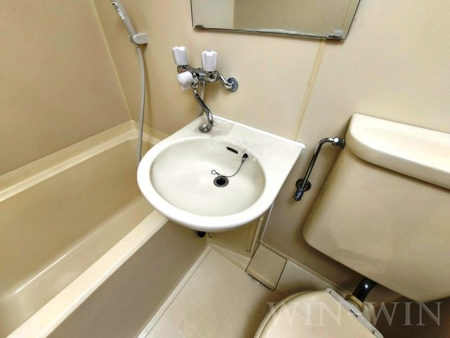 アーバンライフ豊橋の洗面所