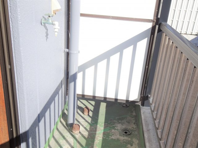 アムールアミイのその他|イメージ写真