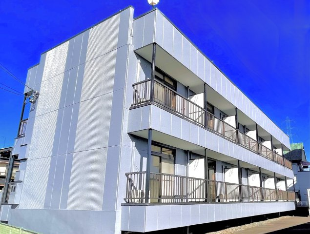 アムールアミイ