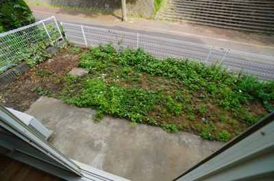 【庭】 | ラヴェニュA