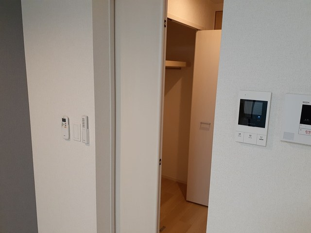 セレストのその他