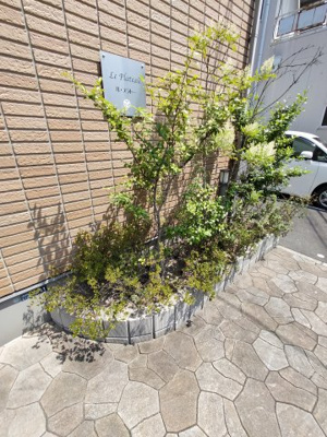【その他共用部分】 | ル・プラトー