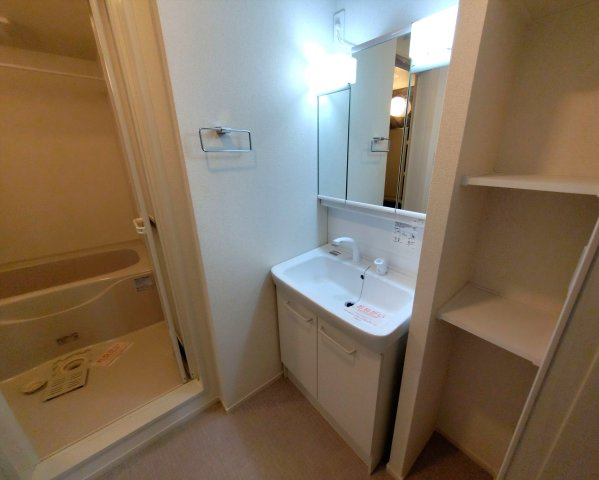 オアシス 八本松 Bの洗面所