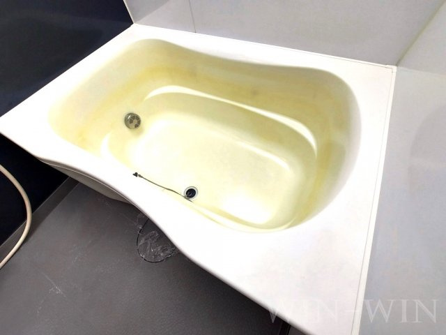 LANDVIEW 山田の杜の浴室