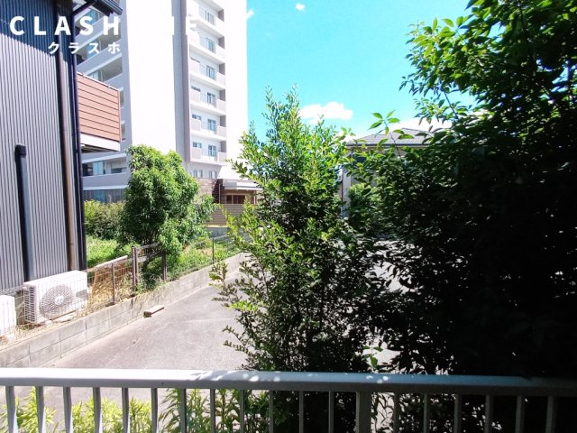 メンデルスゾーンの展望