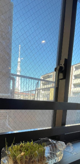 マイキャッスル錦糸町の展望