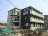 テール51の画像