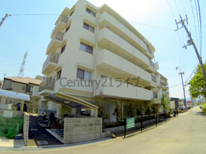 ピュールラルゴの画像