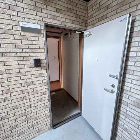 ヴィーナスステージⅡの玄関