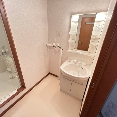 ヴィーナスステージⅡの洗面所