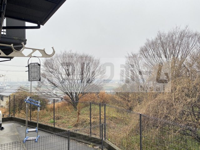 グレープヒルパセオの展望