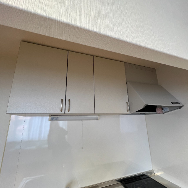 ＰＬＡＴＯＮＪ２のその他