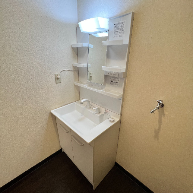 カーサ・レガーロⅠ・Ⅱの洗面所