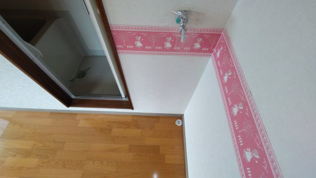 ハイデンス5のその他