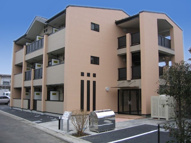 ニューサークルの画像