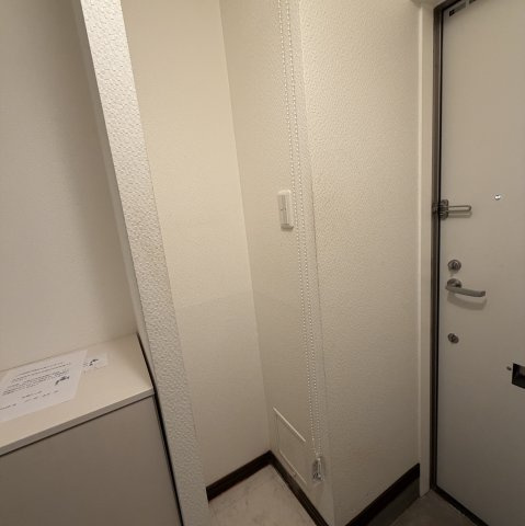 マンションプレビアのその他