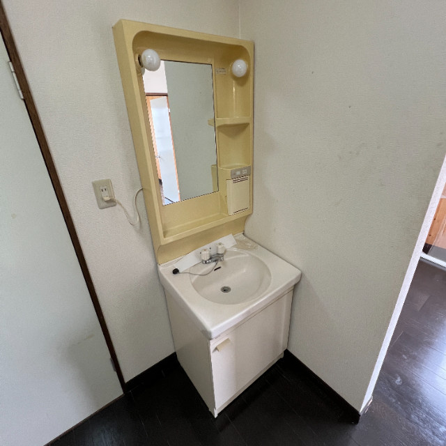 ハイツアンバサダーの洗面所