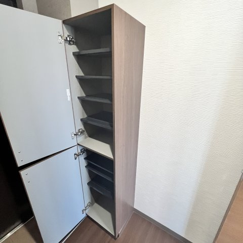 Ｅ．Ｓアベニュー　ヒラノアパートメントの収納