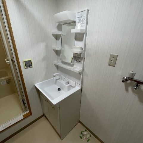 東町コーポラスの洗面所