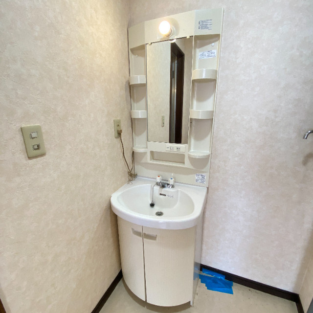 メゾン白樺の洗面所