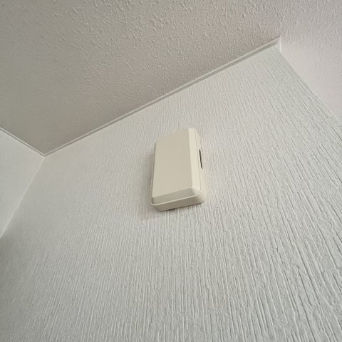 ガーネットのその他