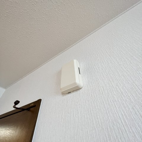 ガーネットのその他