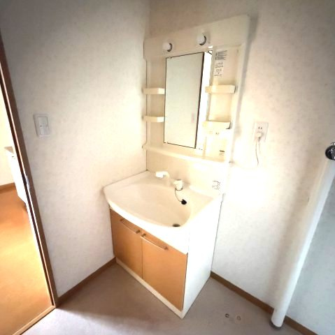 グリーンハイムの洗面所|洗面所です