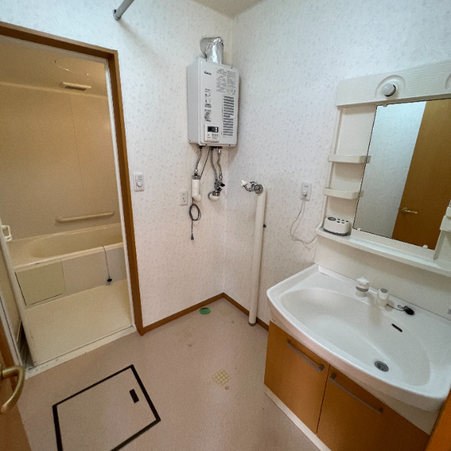 グリーンハイムの洗面所