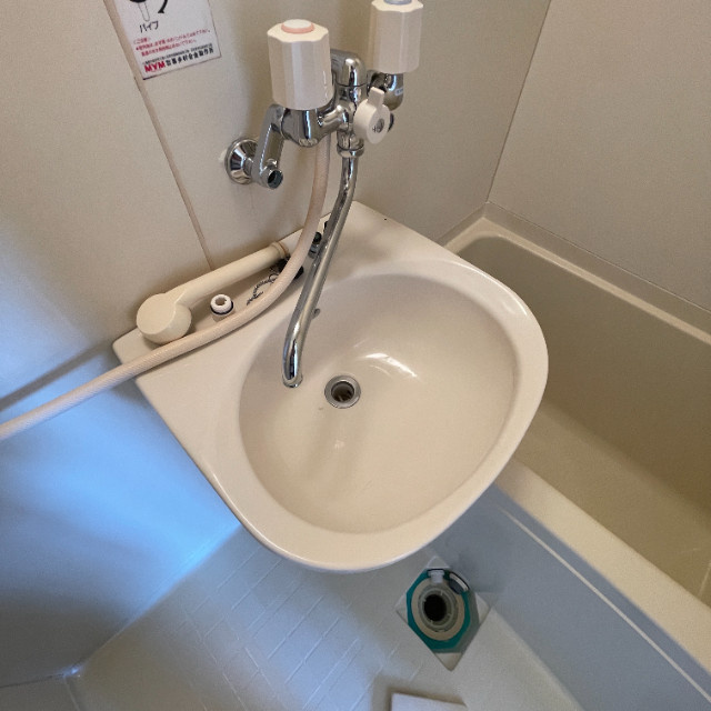 G・realtor MS Ⅱの洗面所