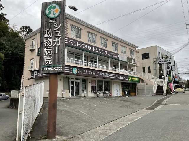 【外観】 | サンマルコ壱番館 | 外観です