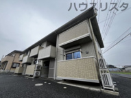 プリムローズBの画像